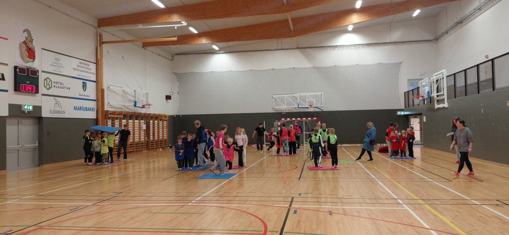 Evrópski skólaíþróttadagurinn
