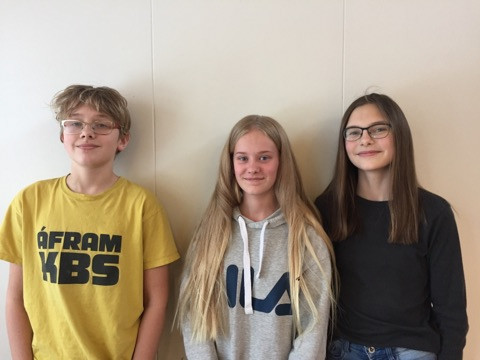 Theodór Snær, Elva Marín og Heiðrún Hrund