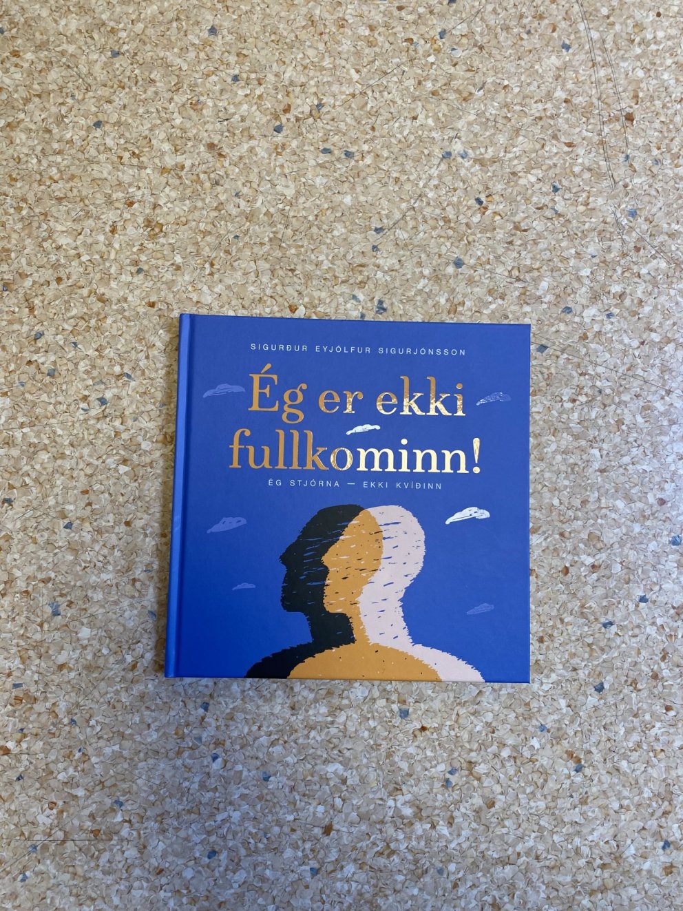Ég er ekki fullkominn!