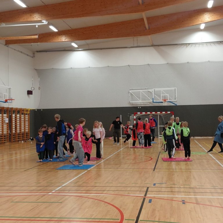 Evrópski skólaíþróttadagurinn