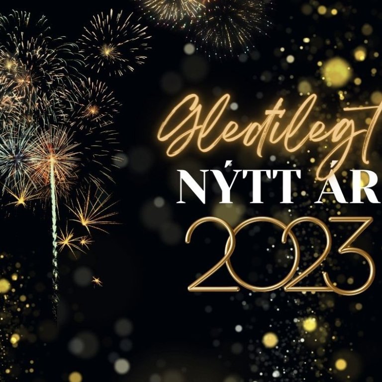 Gleðilegt nýtt ár !